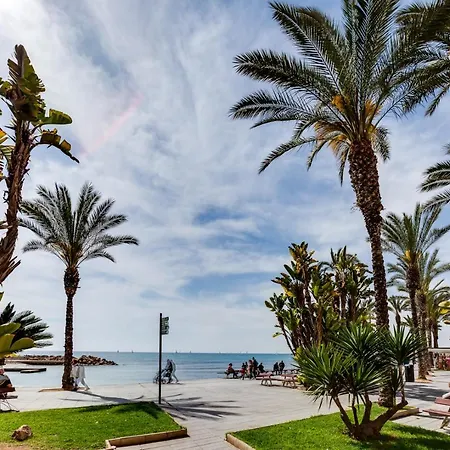 1 Concordia 128 * Torrevieja